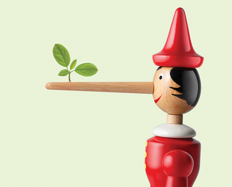 Business Professor Tom Lyon ’81 Tackles Corporate Accountability